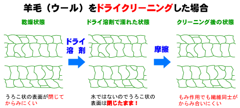 羊毛をドライクリーニングした場合